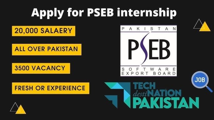 How the PSEB Internship Program Prepares Students for Real-World IT Careers